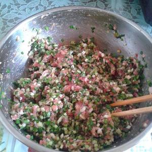 韮菜猪肉水饺的做法 步骤4