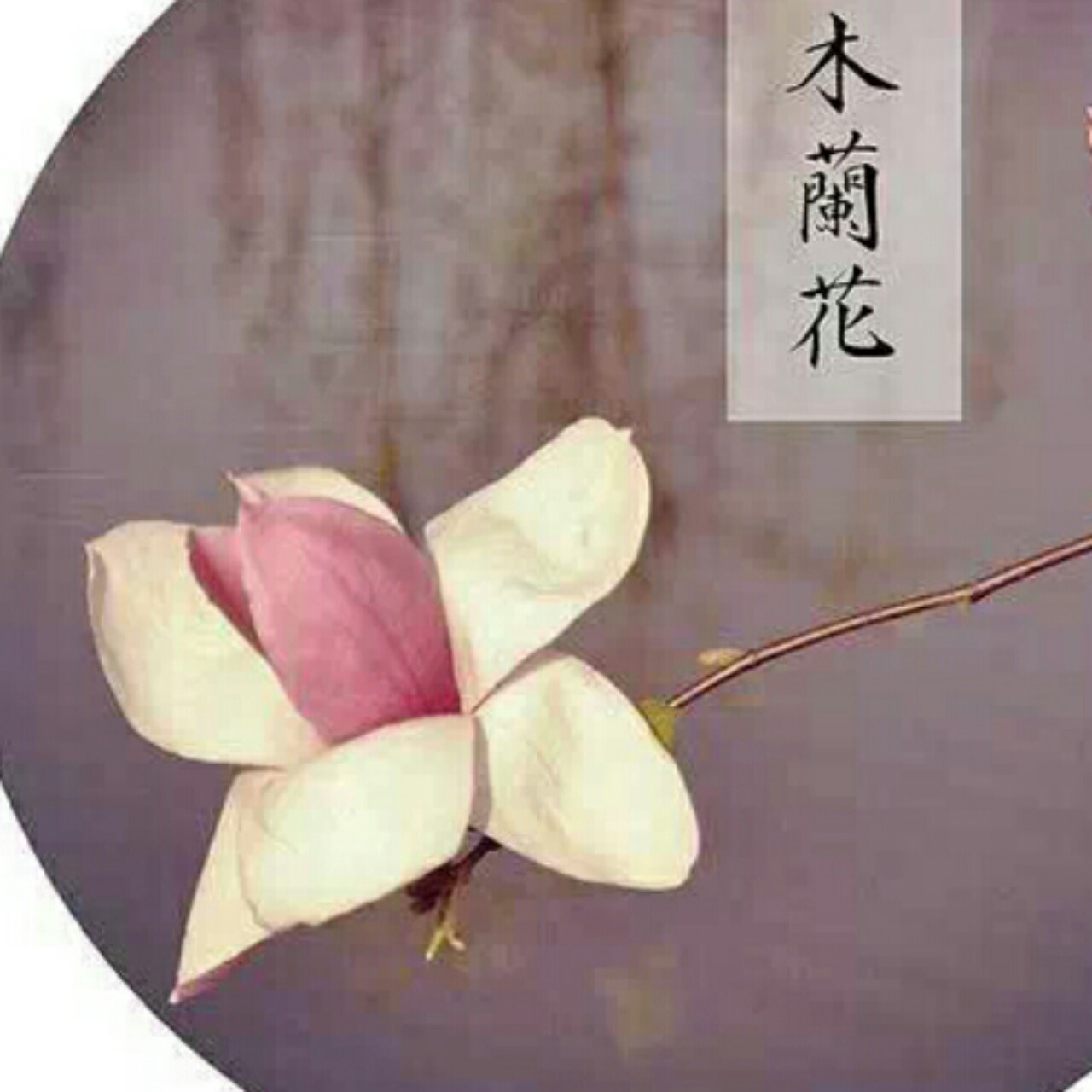 胡妈私房菜