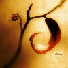 Daydreamer-4