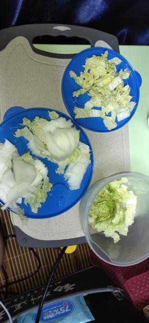 电煮锅·白菜炒面的做法 步骤4