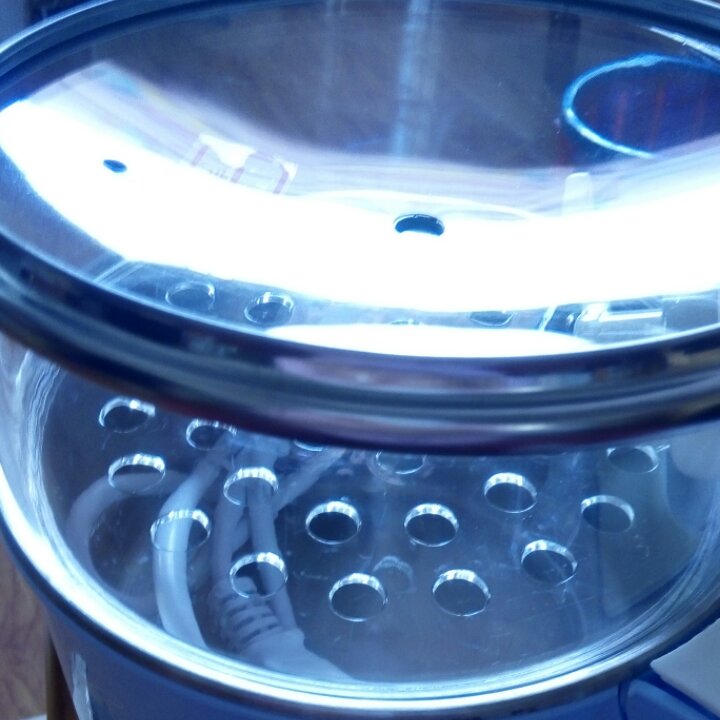 乱入