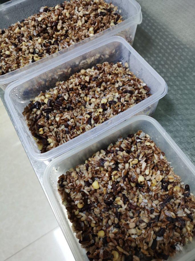 燕麦酒酿（甜胚子）丨健康·三餐