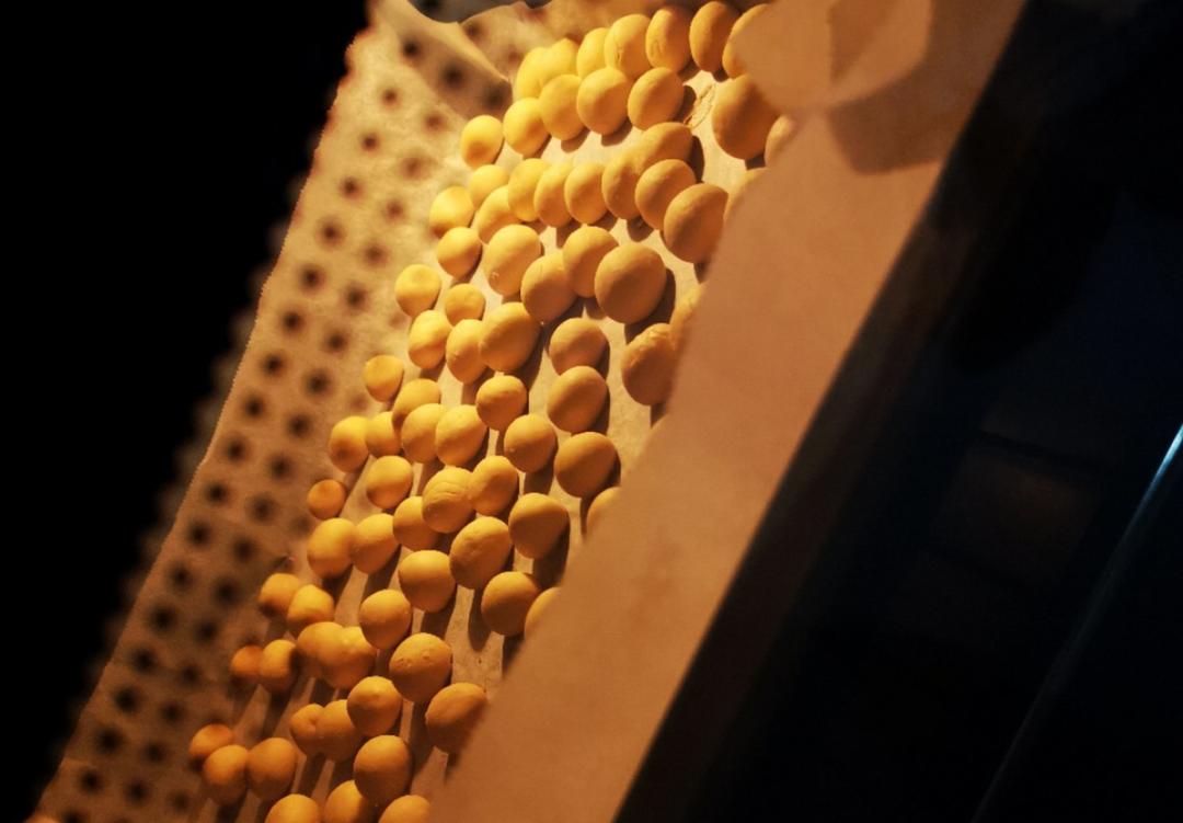 【宝宝辅食】一定要给孩子做一次小馒头、完胜旺仔的那种