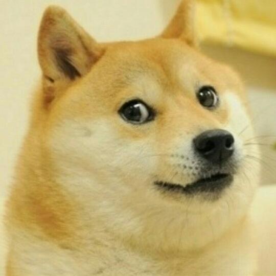 我爱doge