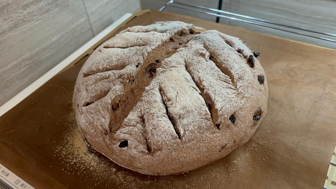 德国婆婆秘方·只多一料·香得上天的全麦核桃蔓越欧包