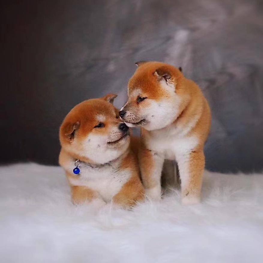 Haaaaaaahappy