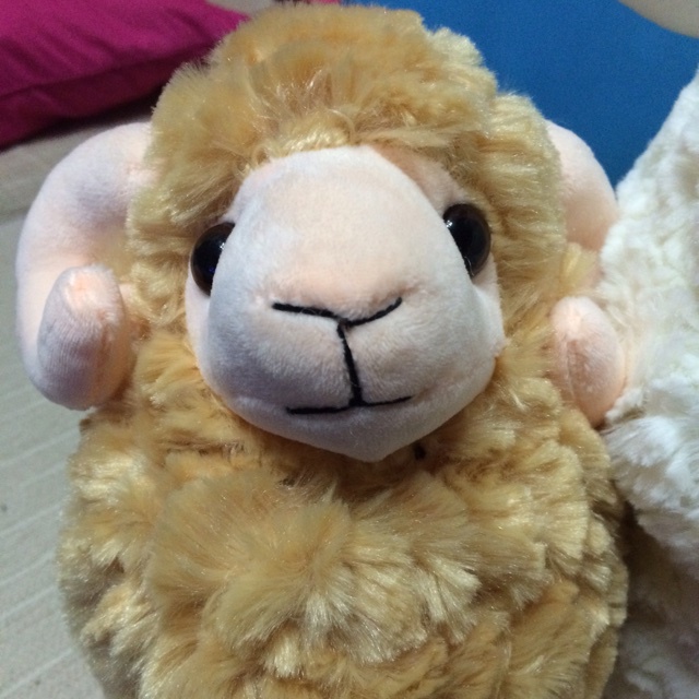 Ronnie_菠萝包的萝