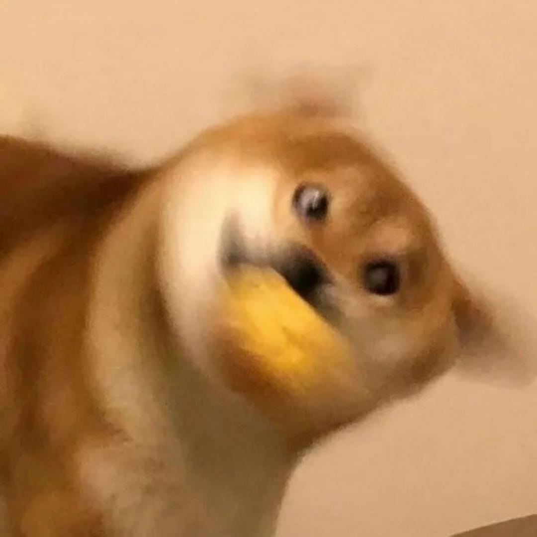 嗯哼嘟嘟嘟嘟