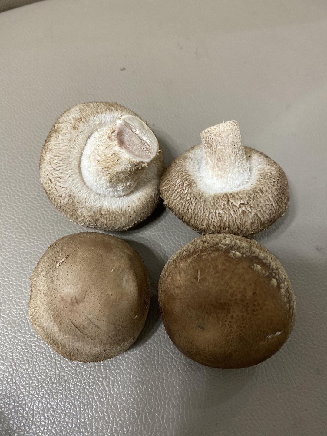 如何挑选新鲜的香菇