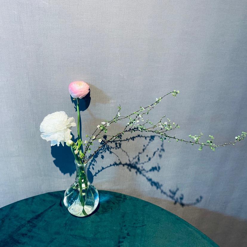 鱼丸粗面的生活