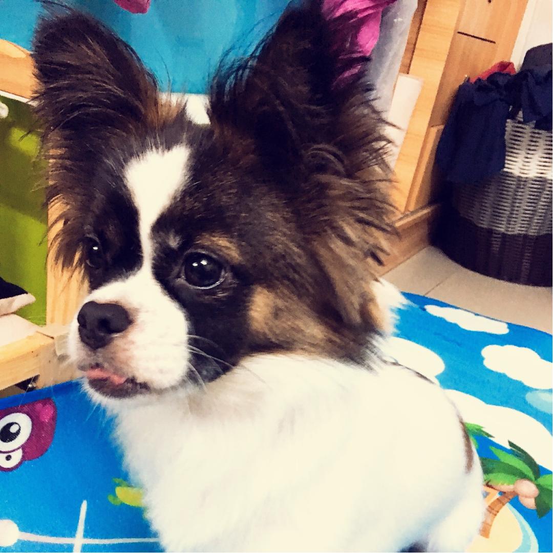 小小小小敏儿呀