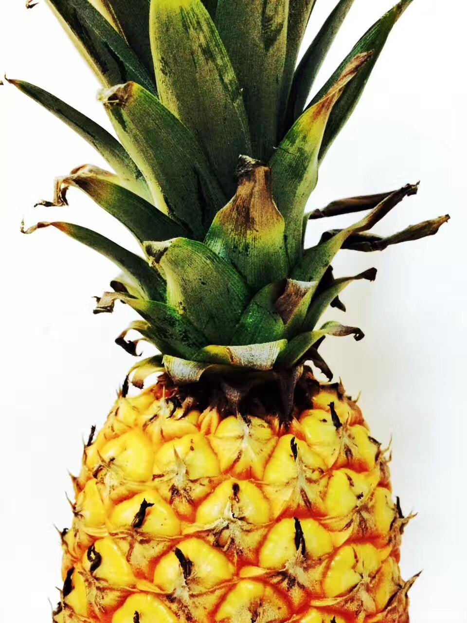 食物的本来面目