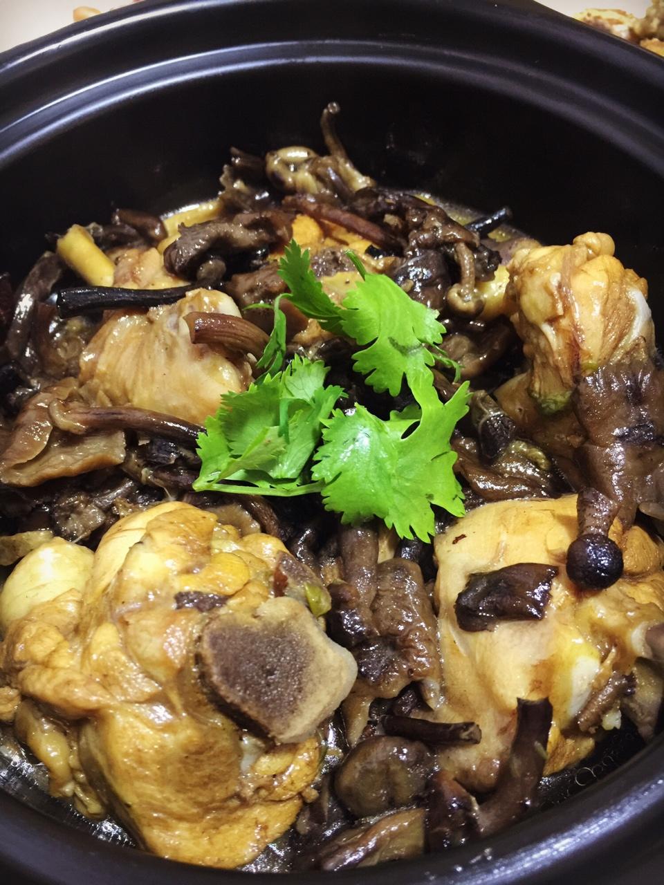 快乐篱笆做的小鸡炖蘑菇