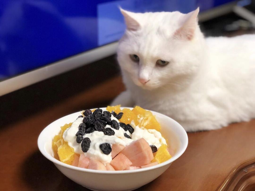 花样水果捞——网红/商业配方料汁打包