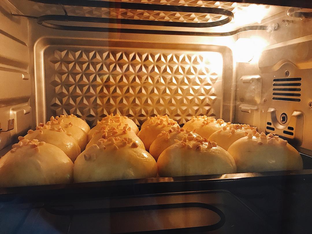 鲜奶油小餐包（一次发酵）