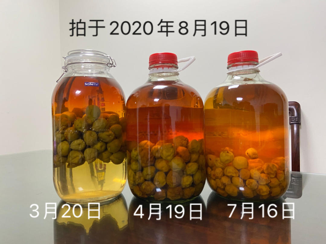 【青梅酒】梅子的沉醉时光（已填坑）