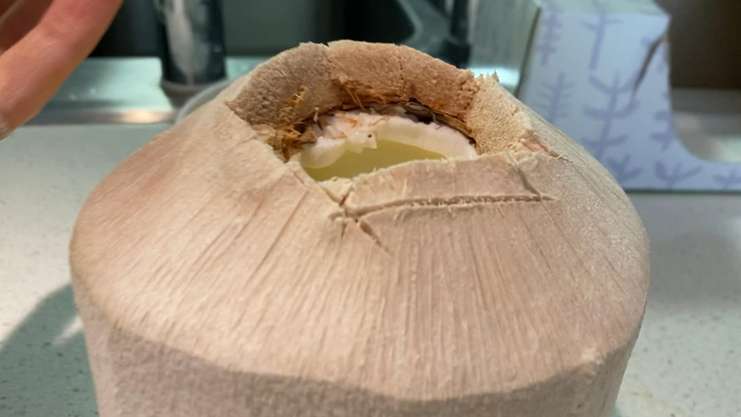 完美椰子冻（搬运牛奶爱丽丝）