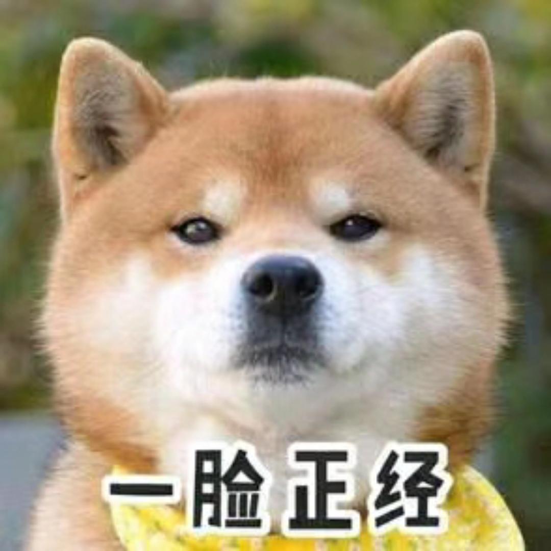 二二二二Small_Z