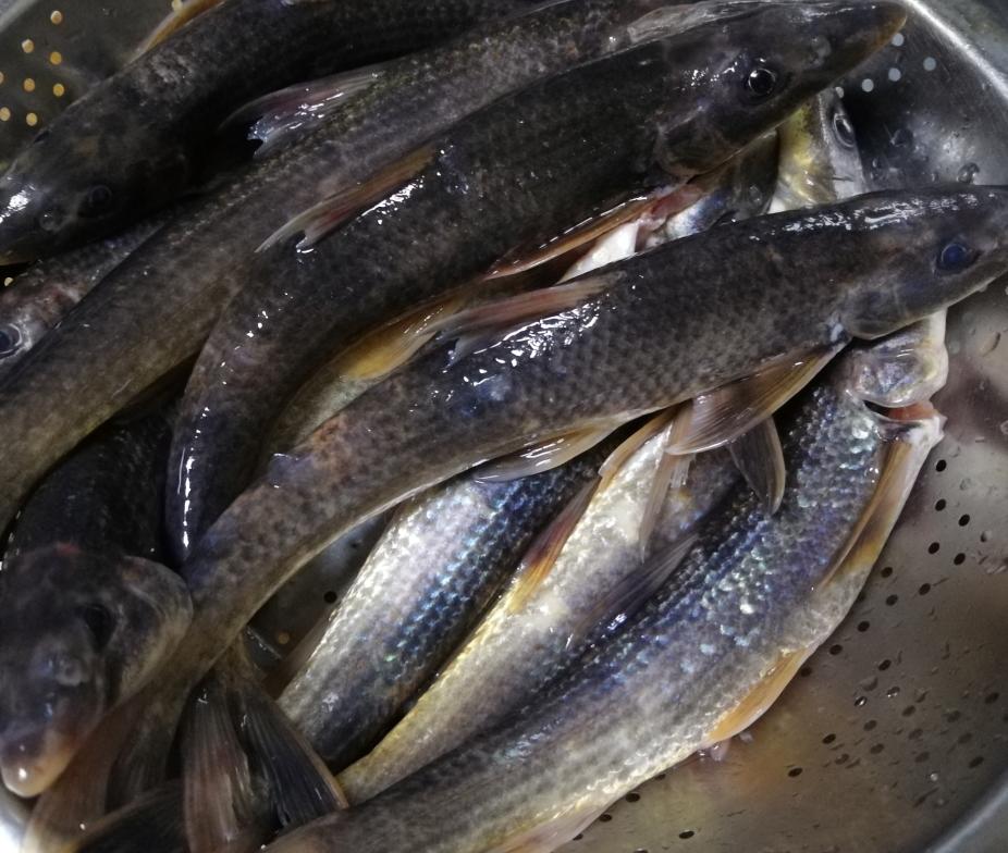 干烧水米子的做法 步骤1