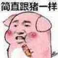 简直跟猪一样