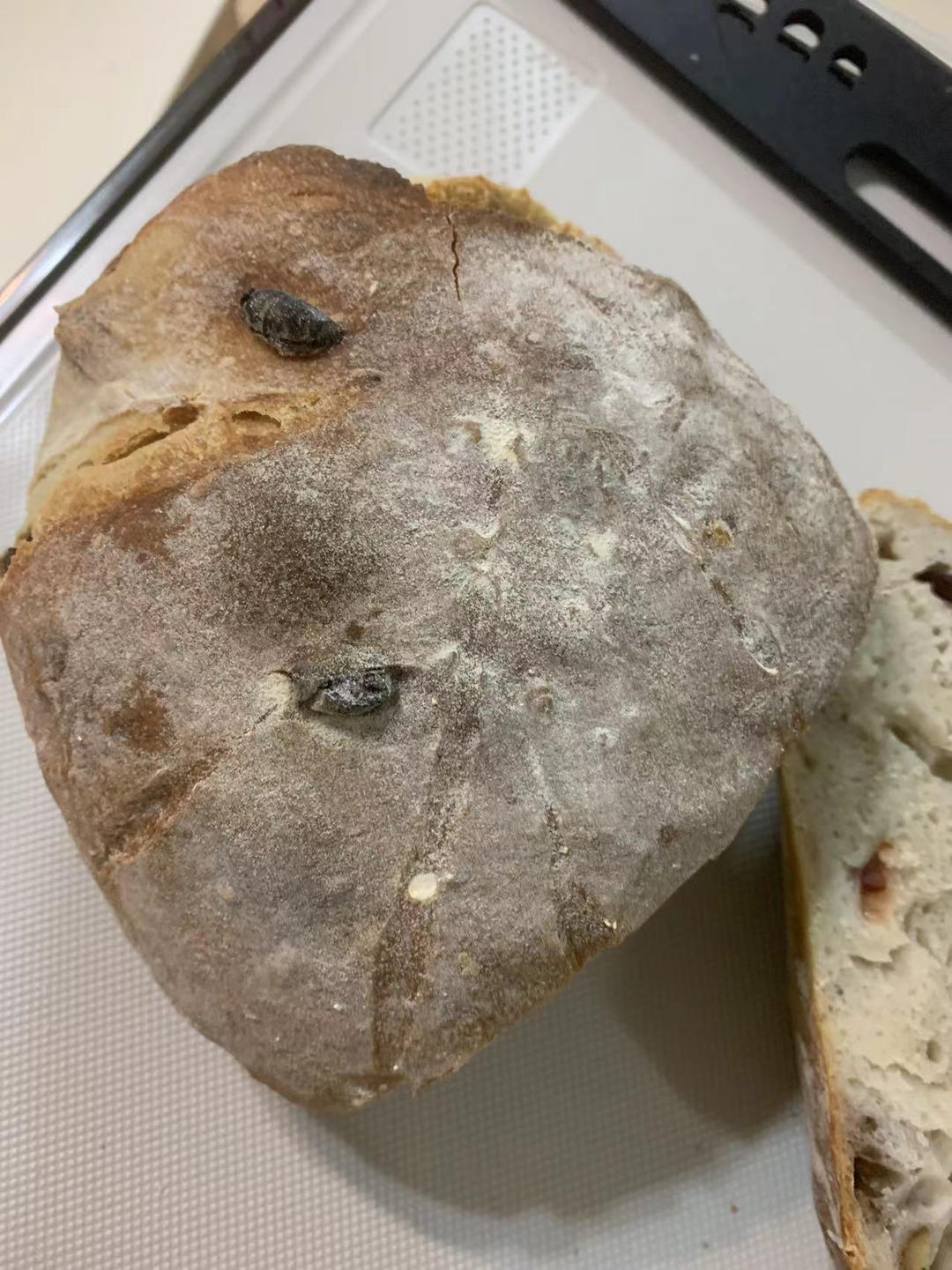 欧包的秘密（免揉/大孔洞/核桃/超简单）
