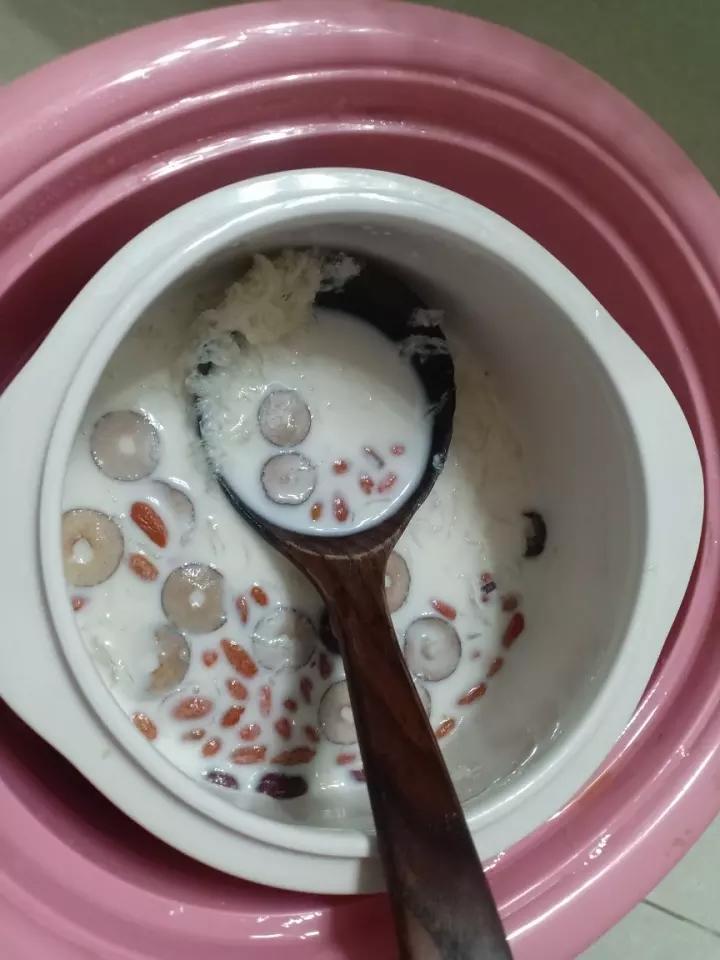口感最佳鲜奶红枣枸杞炖燕窝