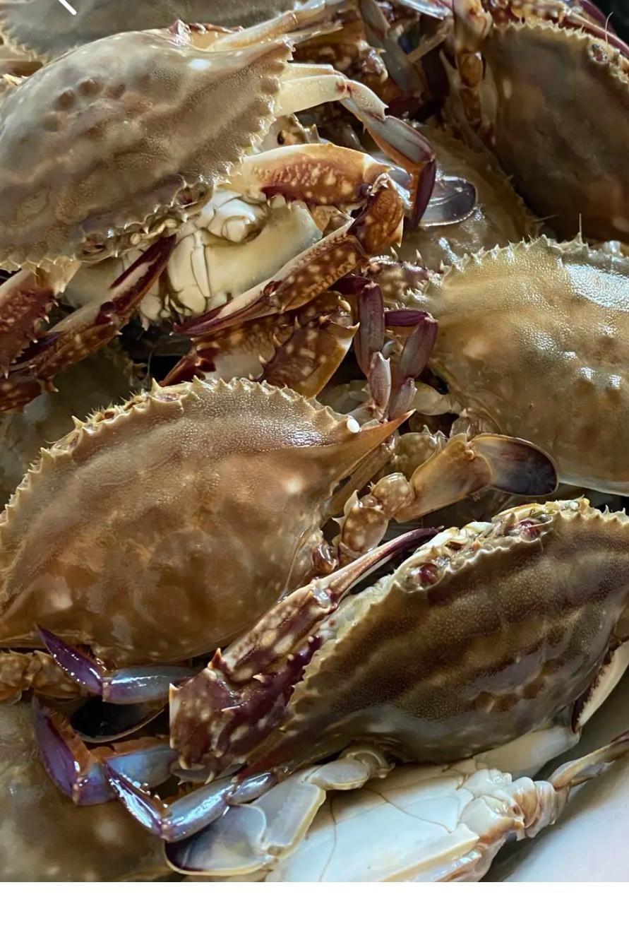 熟白蟹油炒豆瓣酱1066