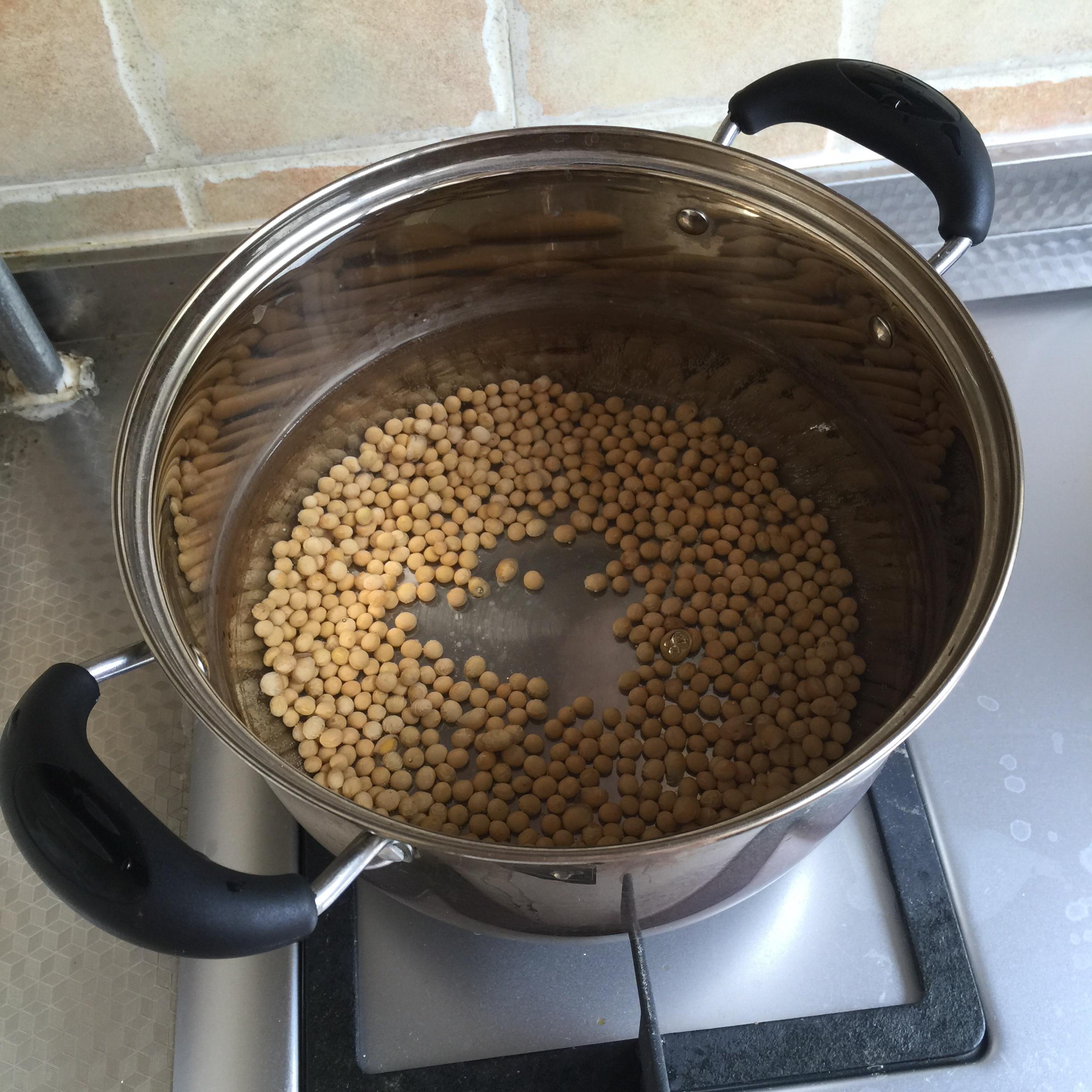 自制超级浓郁的豆浆（料理机版）的做法 步骤1