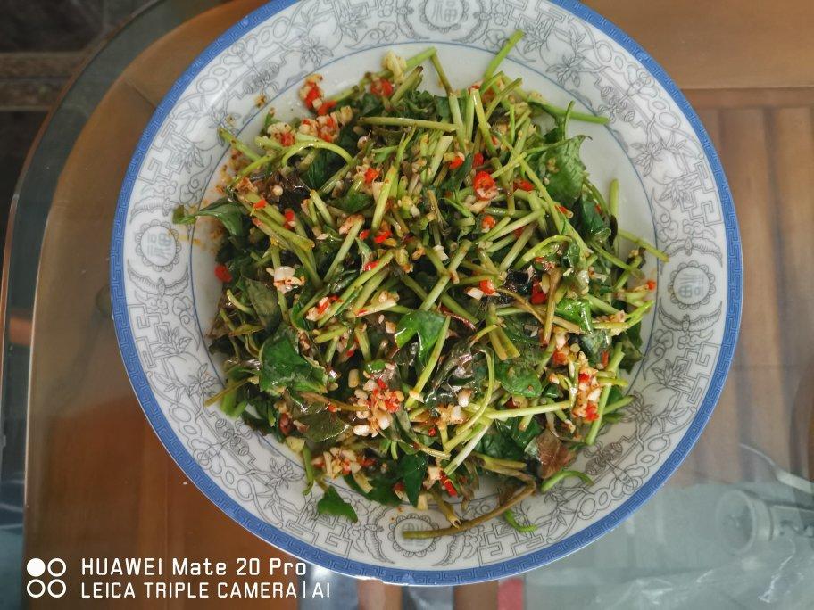 凉拌鱼腥草(折耳根)