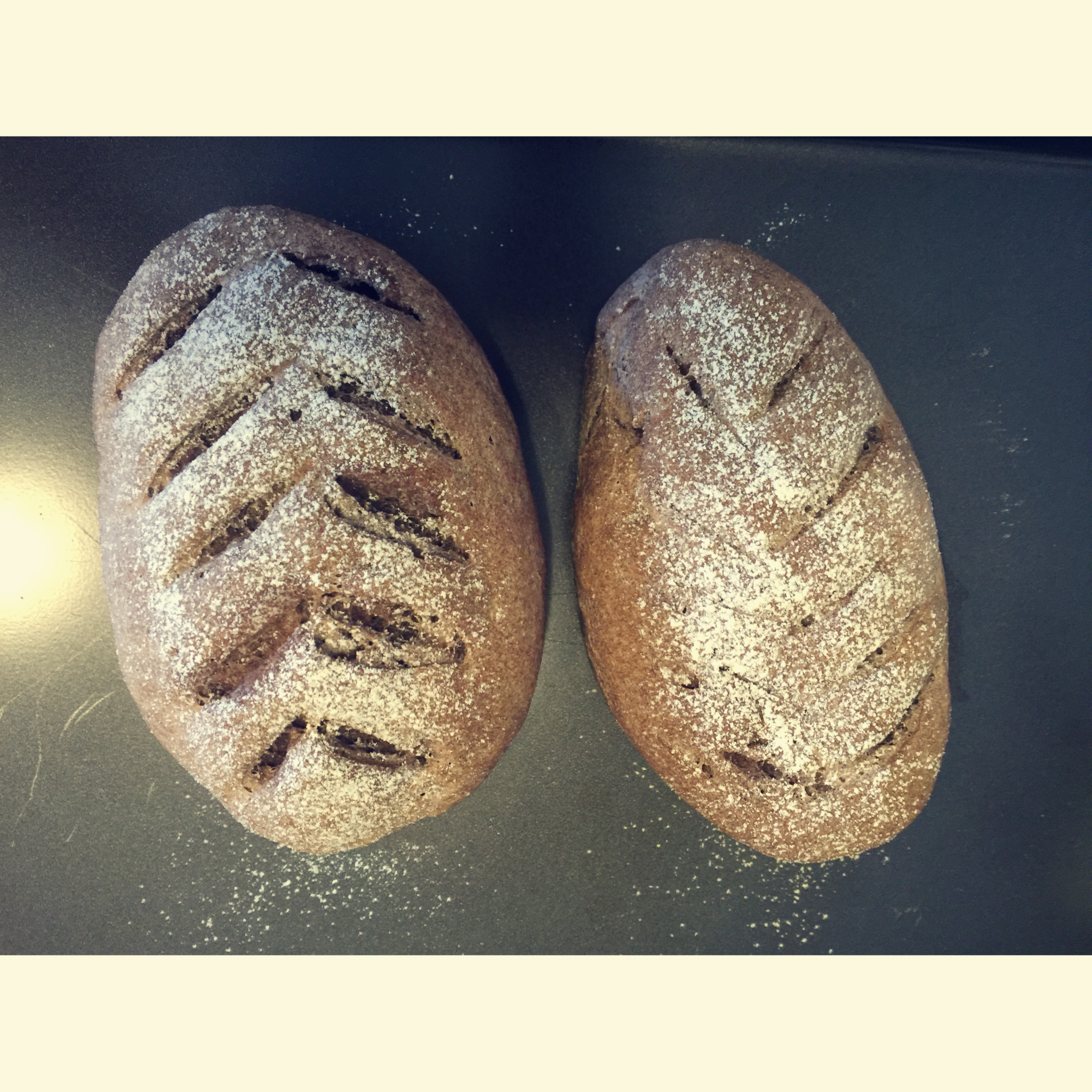 慢碳高纤纯全麦面包～（无油无糖无蛋无奶）