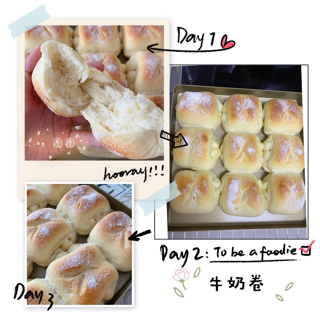 中种面包记录