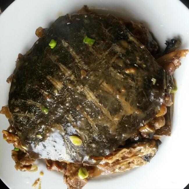 红烧甲鱼（王八，老鳖）