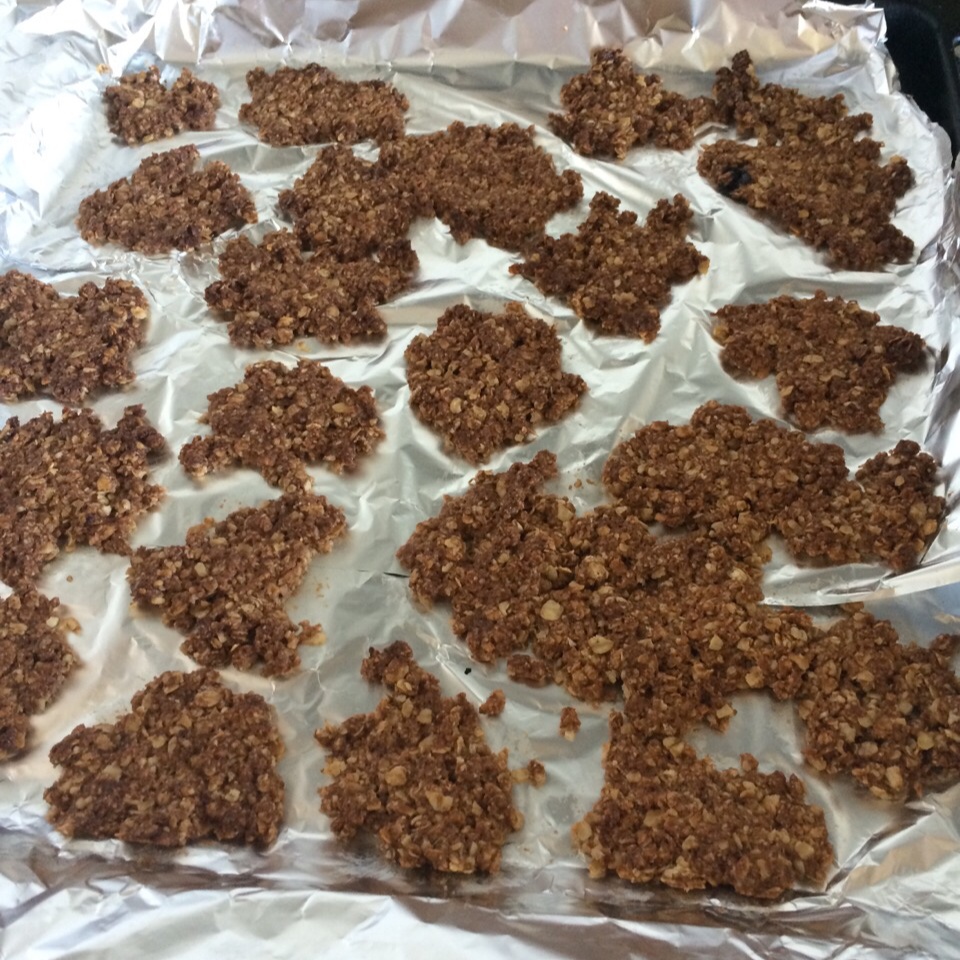 中岛老师的燕麦饼干
