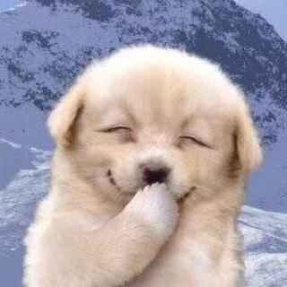 那年冬天里的小雪花