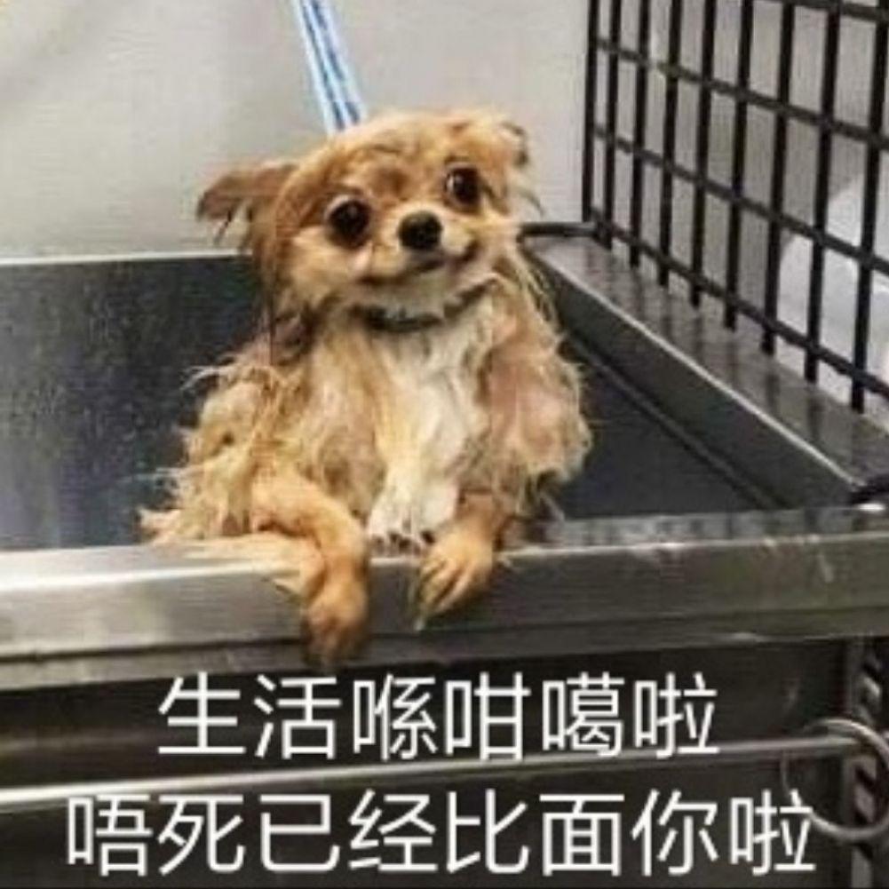 欧霓桑霓桑的厨房