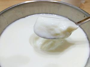 自制无添加健康老酸奶的做法 步骤13