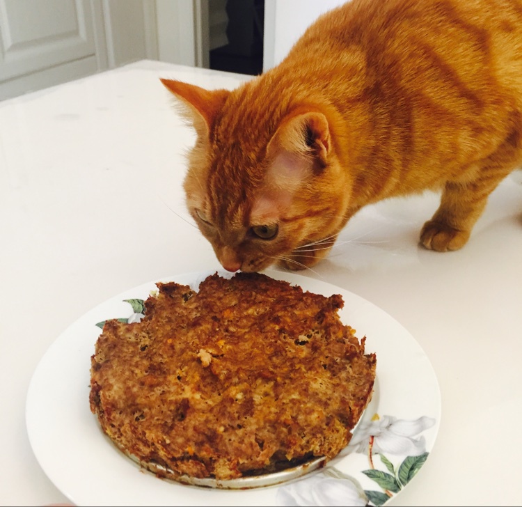 猫咪生日蛋糕←自制猫粮