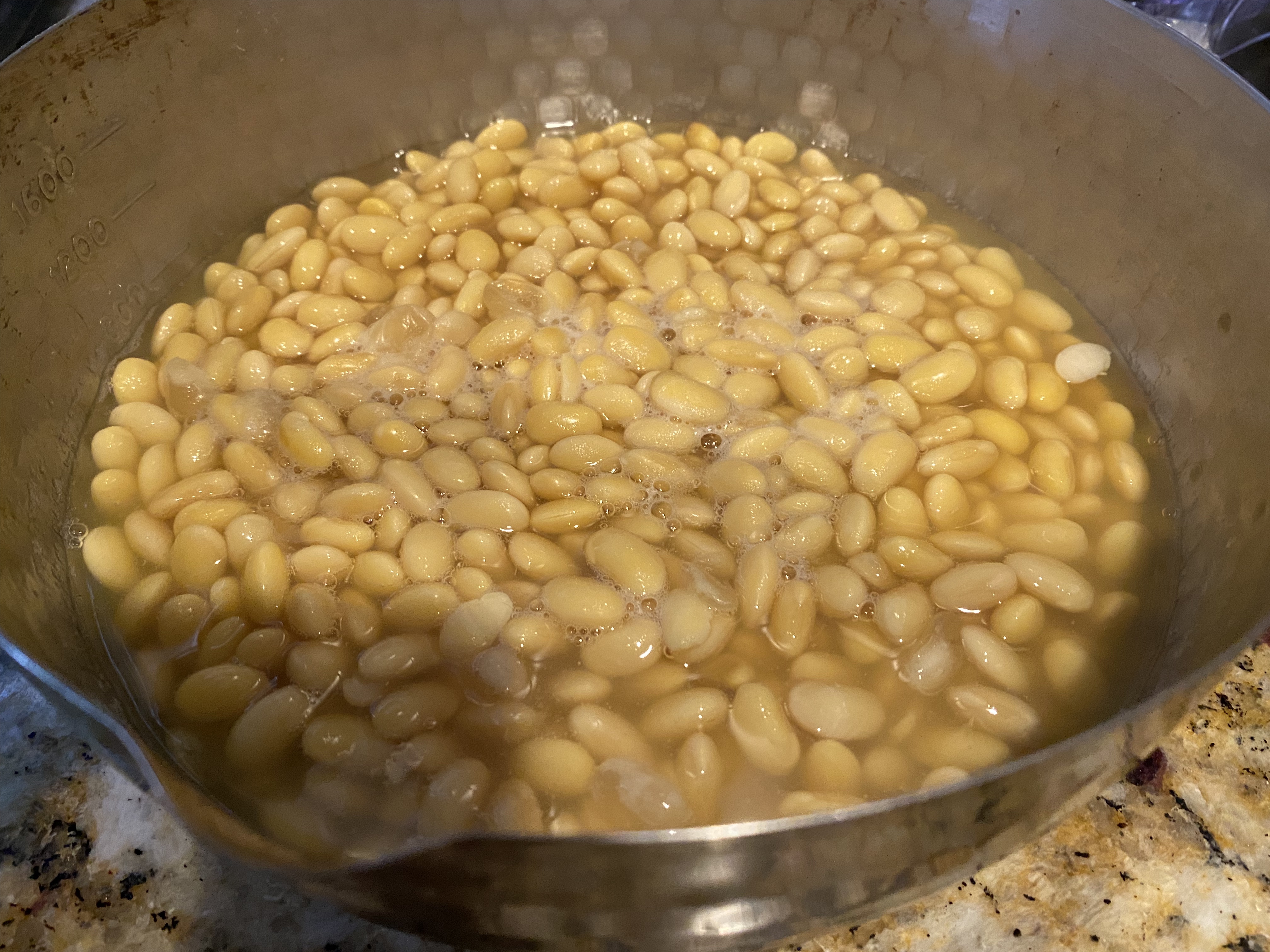 超级下饭神器—黄豆变纳豆/水豆豉/腊八豆的做法 步骤4