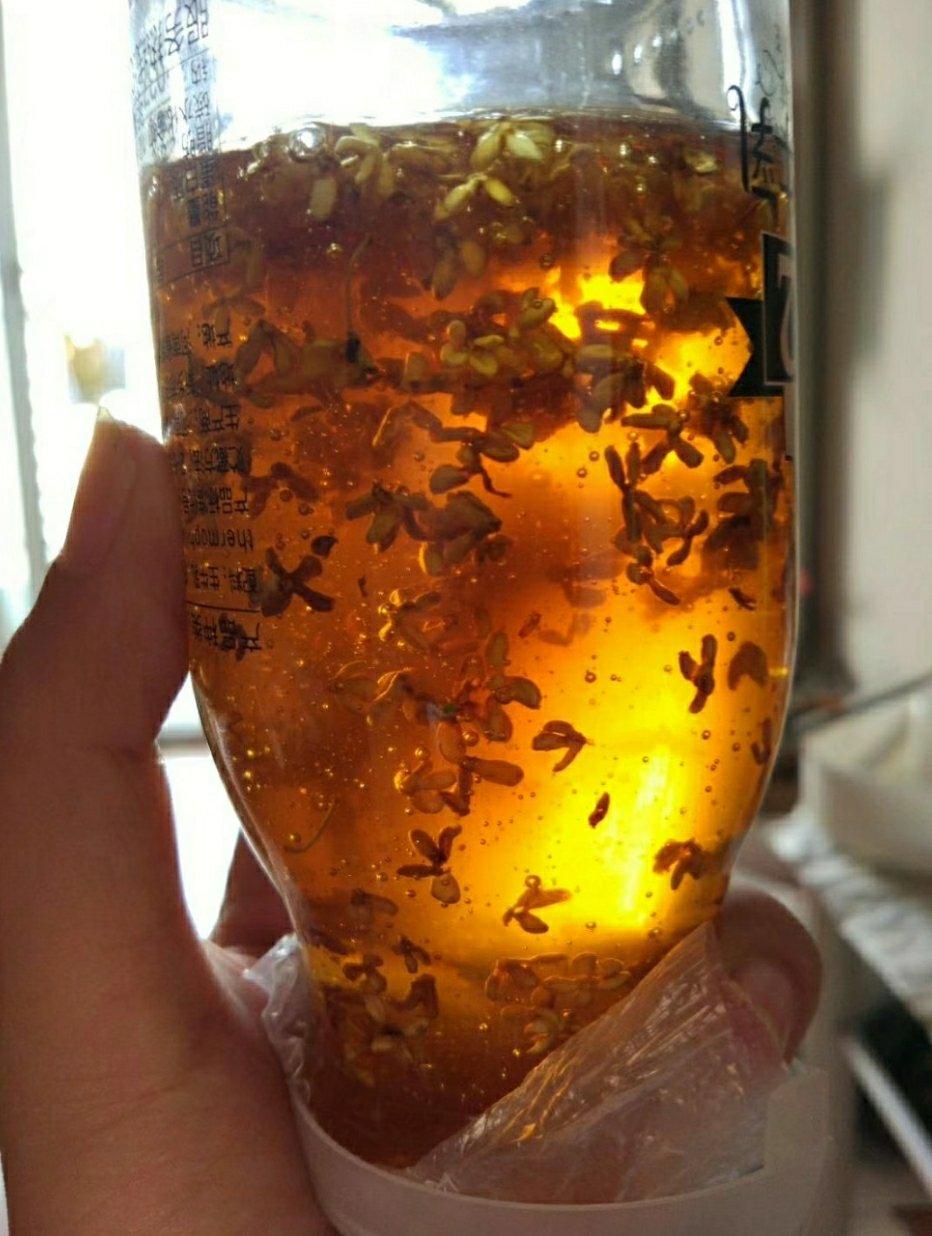 自制桂花蜜酱