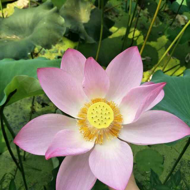 手机用户1324_cqau