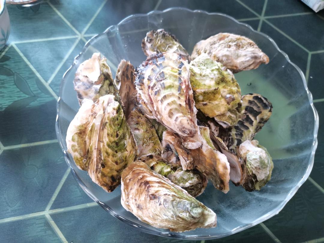 鲜美无比清蒸生蚝，喜欢海鲜的你千万别错过