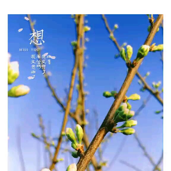 爱吃爱美食的胖子