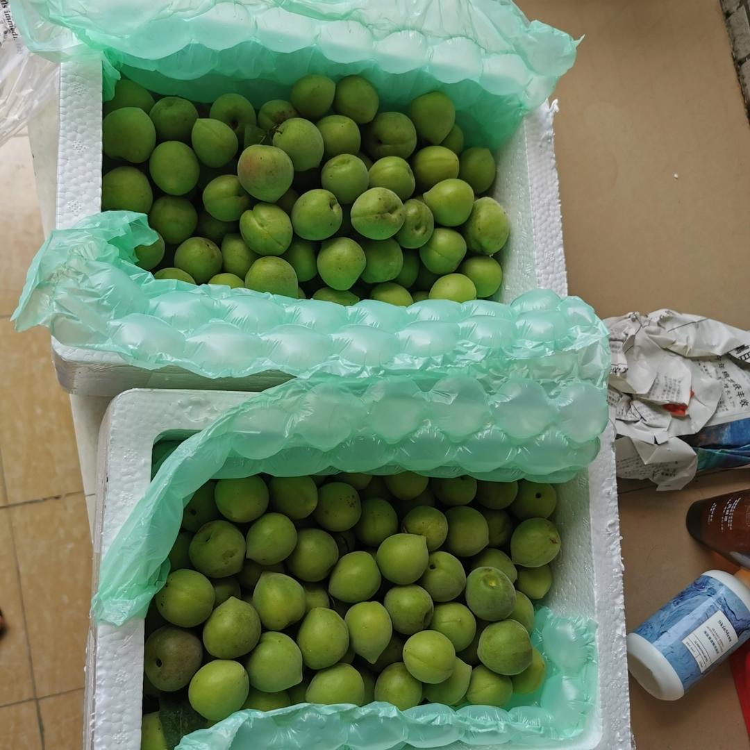 冰皮月饼