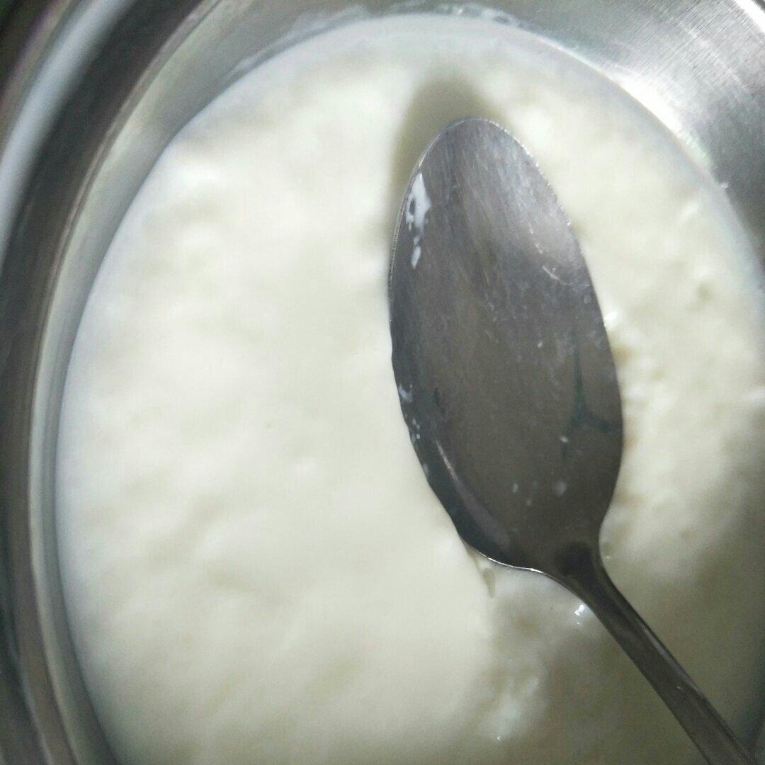 双皮奶