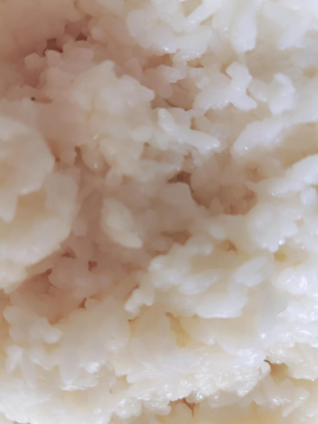 酒酿 (酒酿系列一）