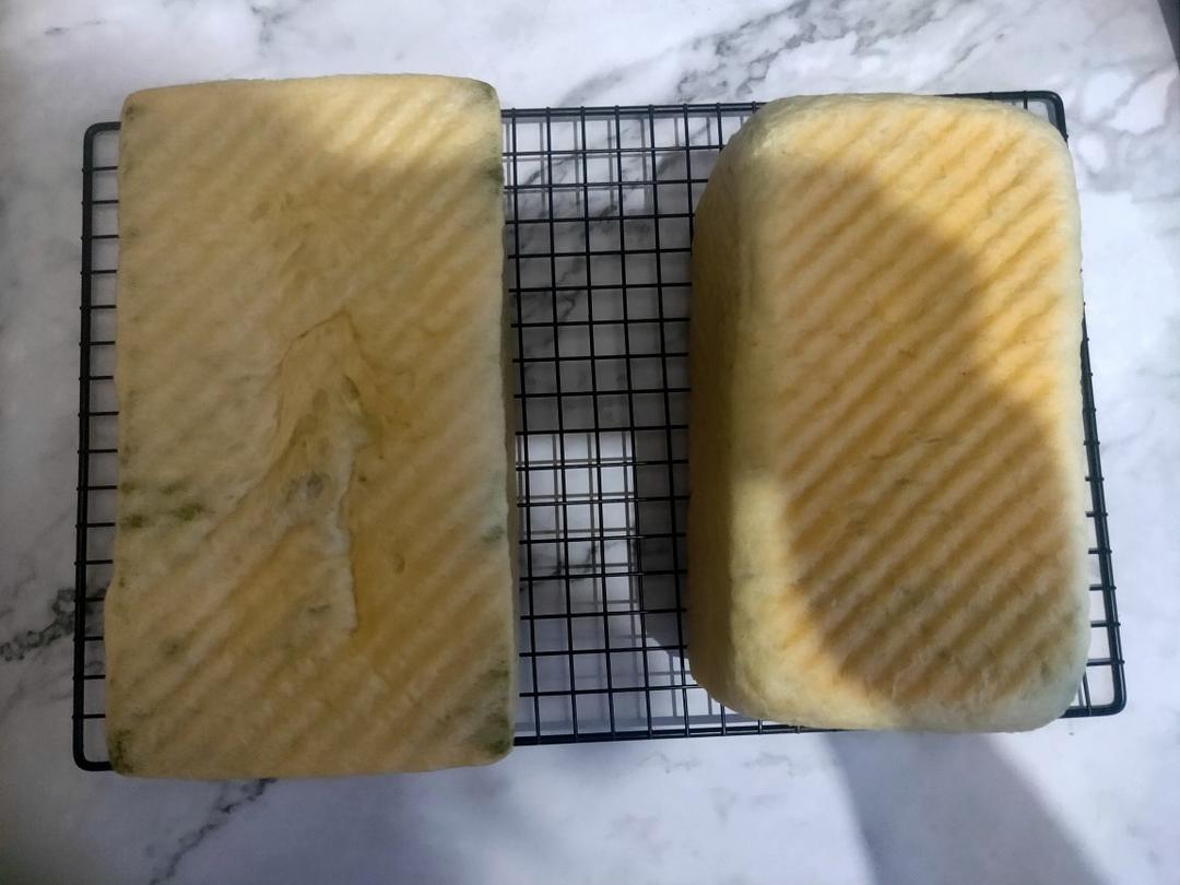 蜜豆抹茶双色吐司（波兰种）