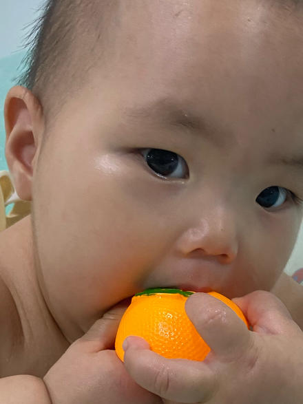 土豆菜哟