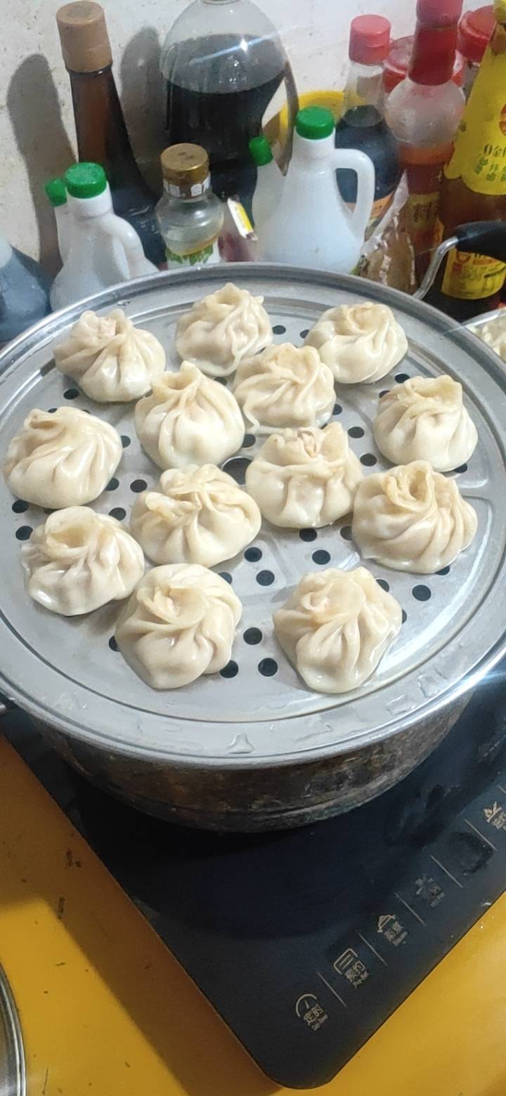 鲜肉包子(饺子皮版)