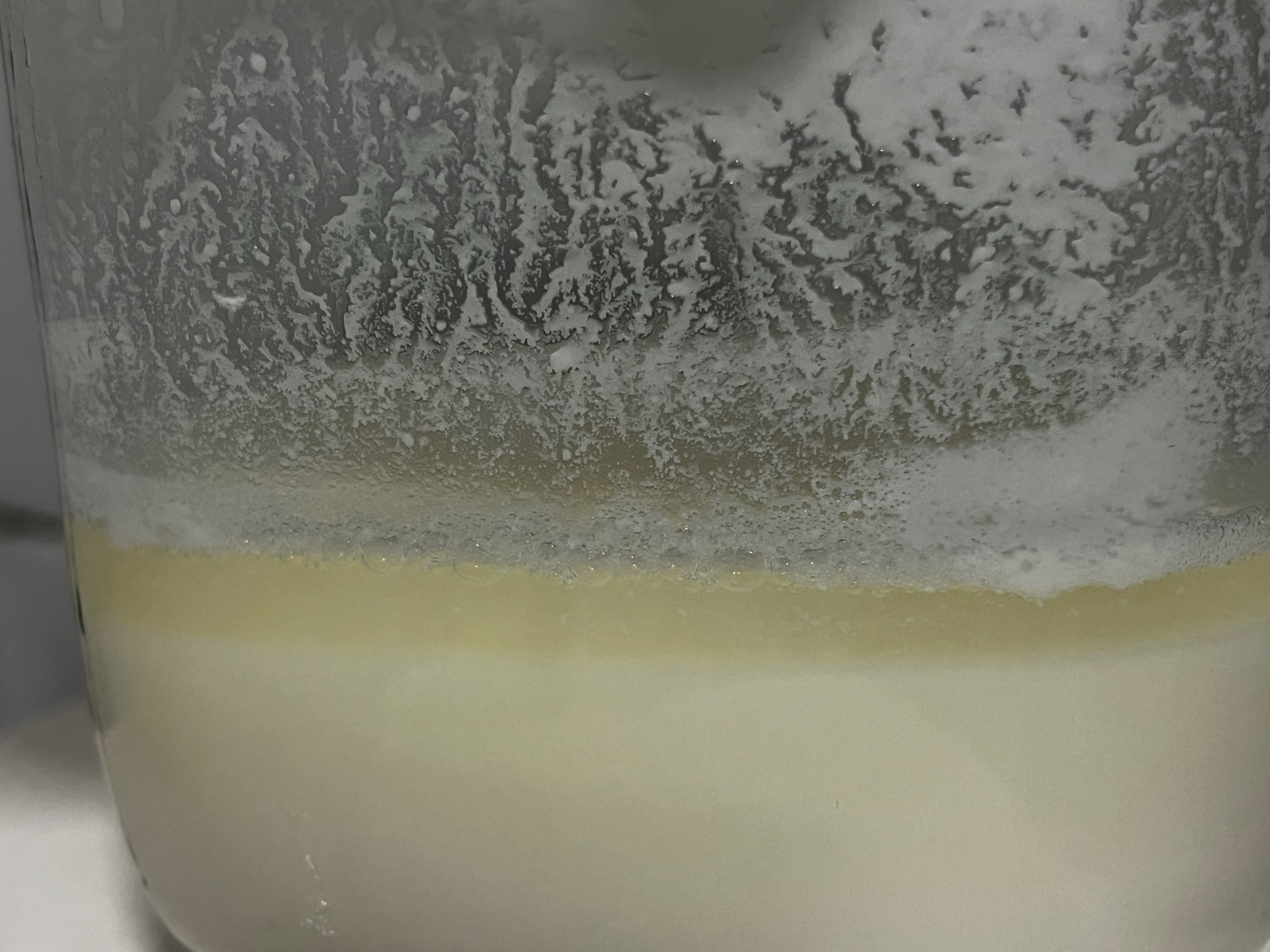 《野生酵母研究室》优格酵母液/酸奶酵液的做法 步骤3