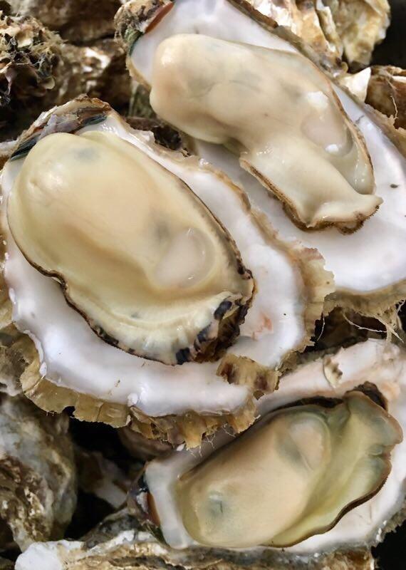 清蒸生蚝的做法